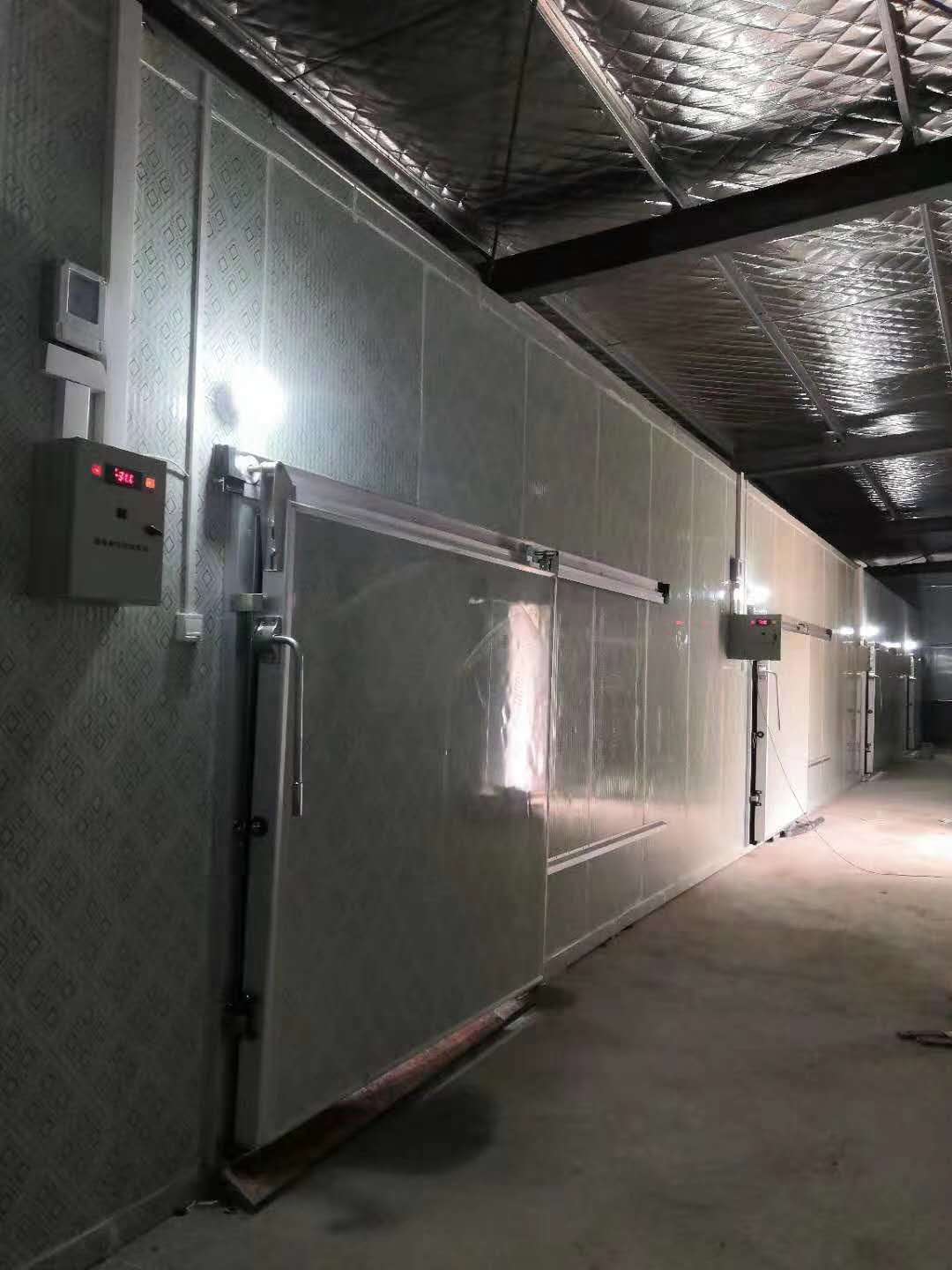 中型平移冷库门